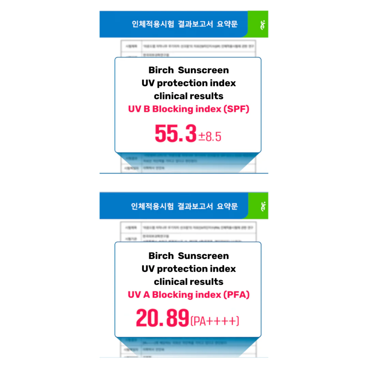 Round Lab - Birch Juice Mild-Up Sunscreen (Cilt Tonu Eşitleyici ve Nemlendirici Huş Ağacı Özlü Mineral Güneş Kremi) 50ml