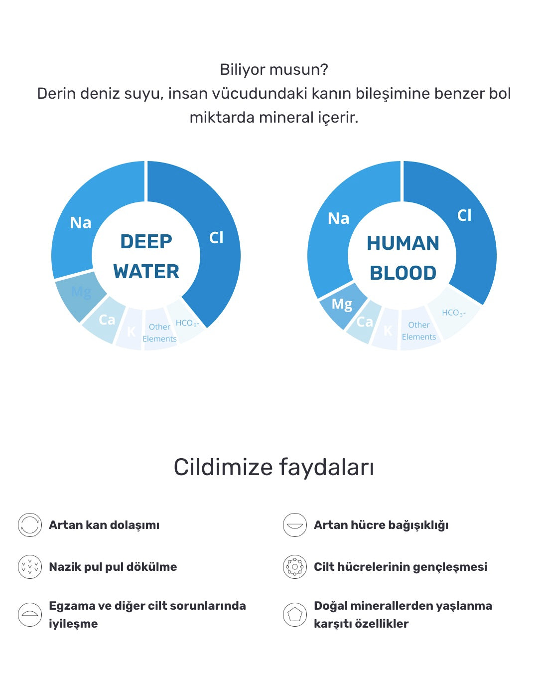 Round Lab - 1025 Dokdo Mud Pack (Geniş Gözenek ve Siyah Nokta Karşıtı Nemlendirici Mineralli Çamur Maskesi) 100ml