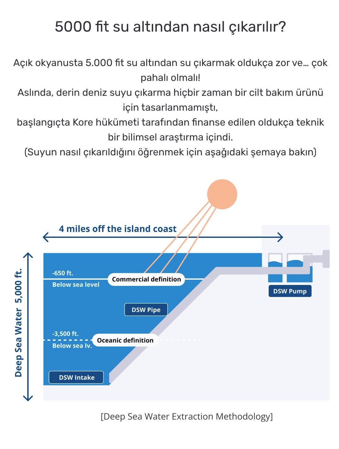 Round Lab - 1025 Dokdo Mud Pack (Geniş Gözenek ve Siyah Nokta Karşıtı Nemlendirici Mineralli Çamur Maskesi) 100ml